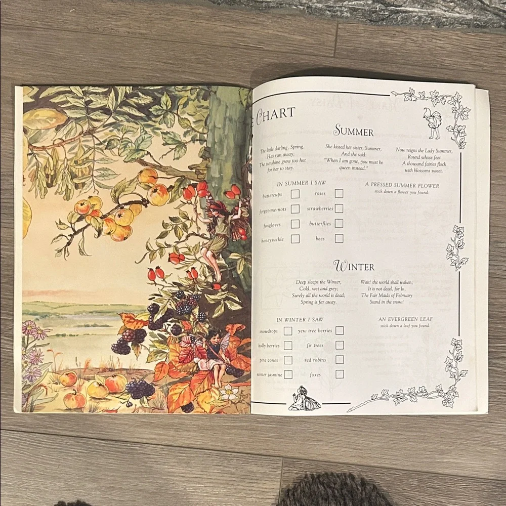 The Flower Fairies‎ Sticker Activity Book